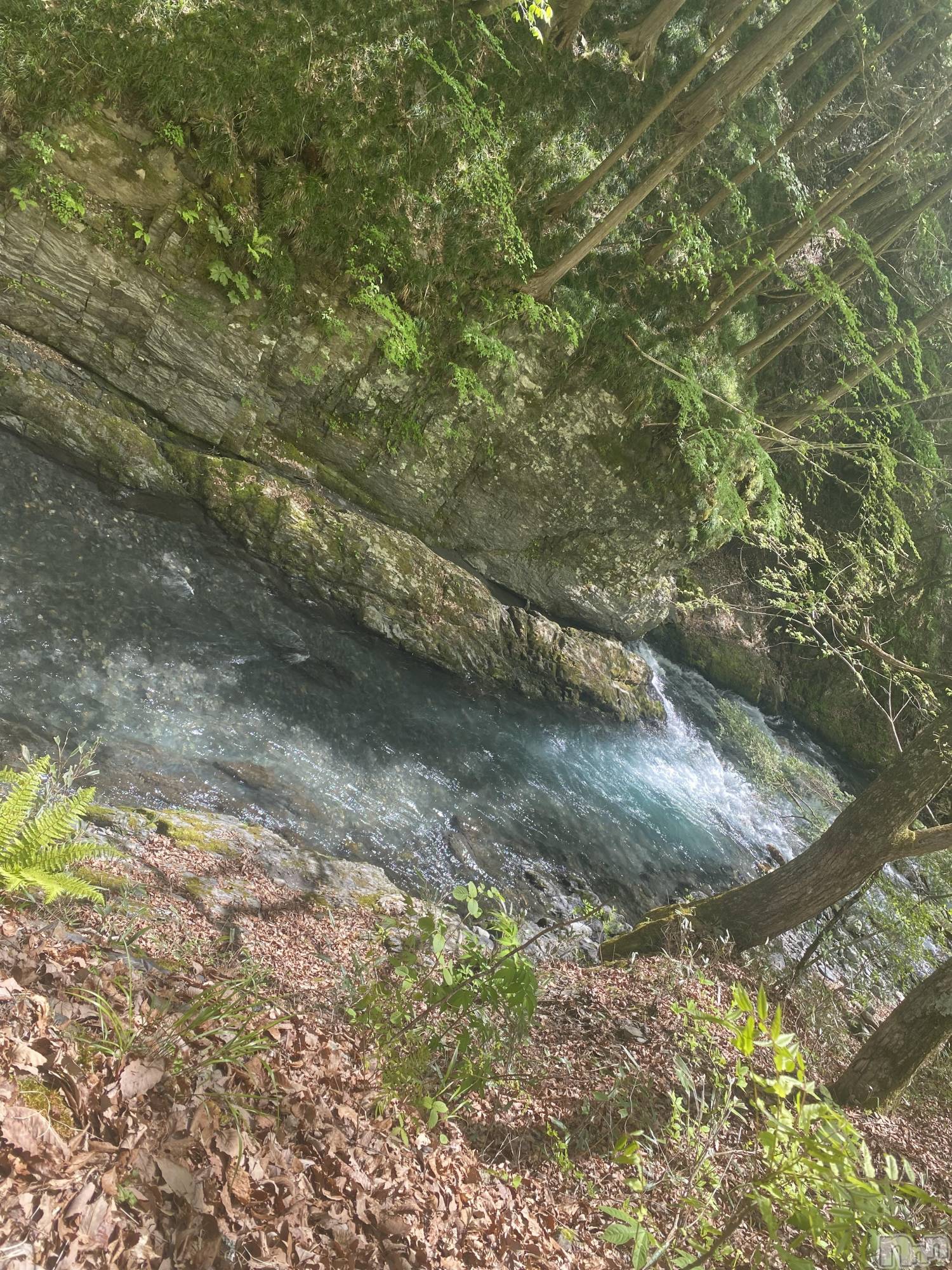 ��ˬ����Х��顦����֥���� �ץ���� ��ˬ(����� �ץ���� ����) ��2024ǯ11��8���̥�֥�����6��