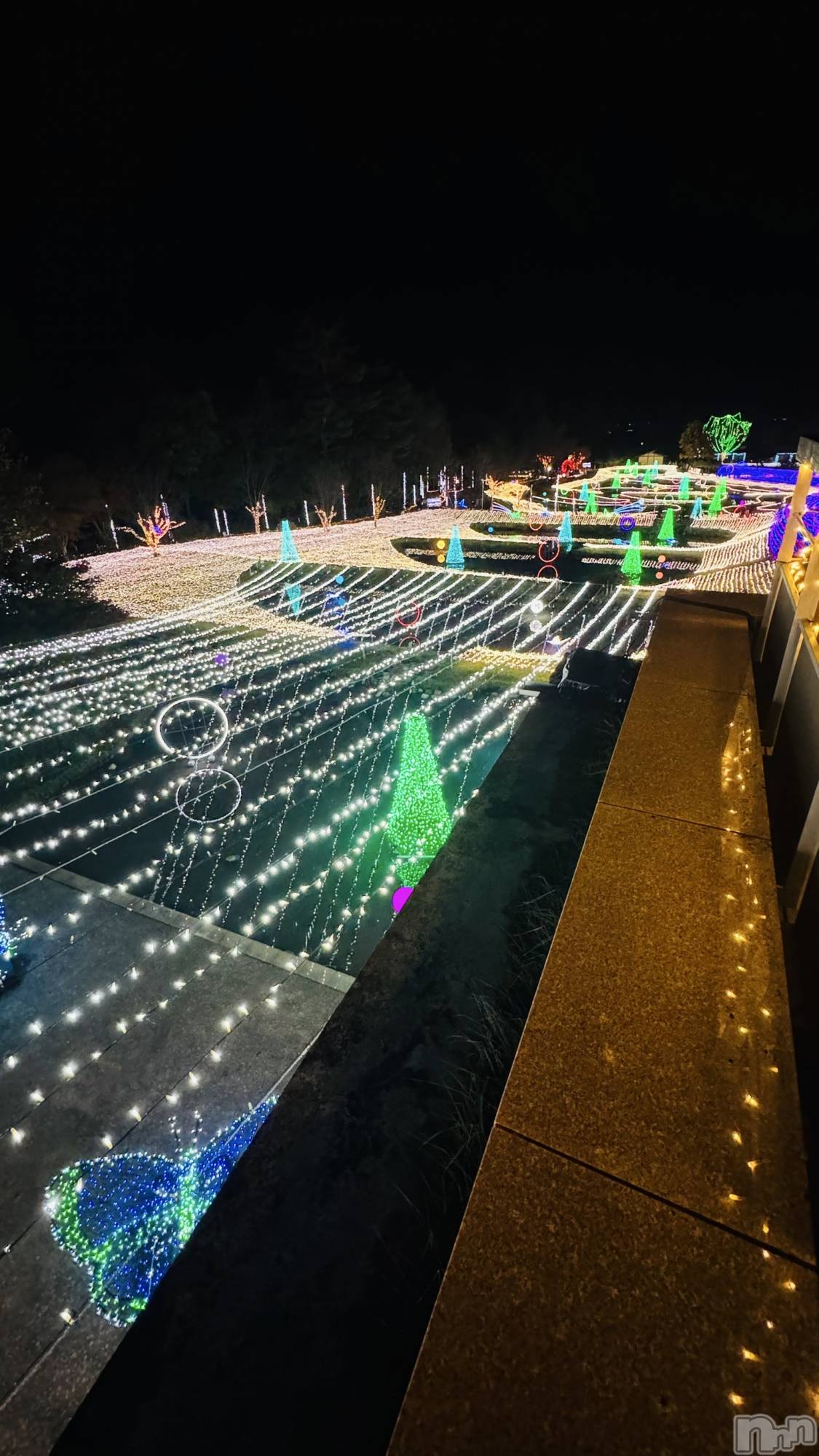 ��ˬ����Х��顦����֥���� �ץ���� ��ˬ(����� �ץ���� ����) ��2024ǯ11��11���̥�֥�����7��