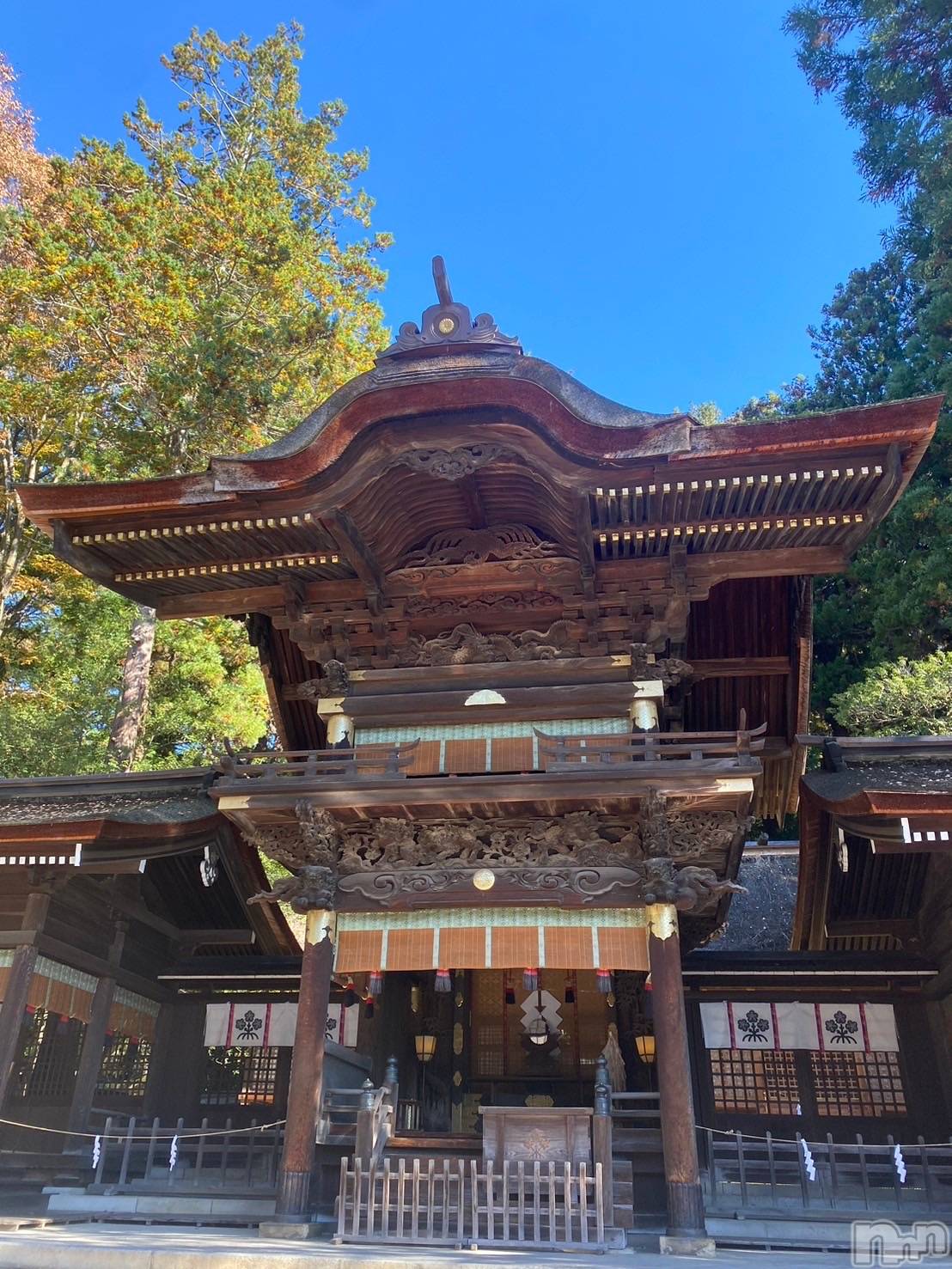 ��ˬ����Х��顦����֥���� �ץ���� ��ˬ(����� �ץ���� ����) ��2024ǯ11��12���̥�֥�����8��