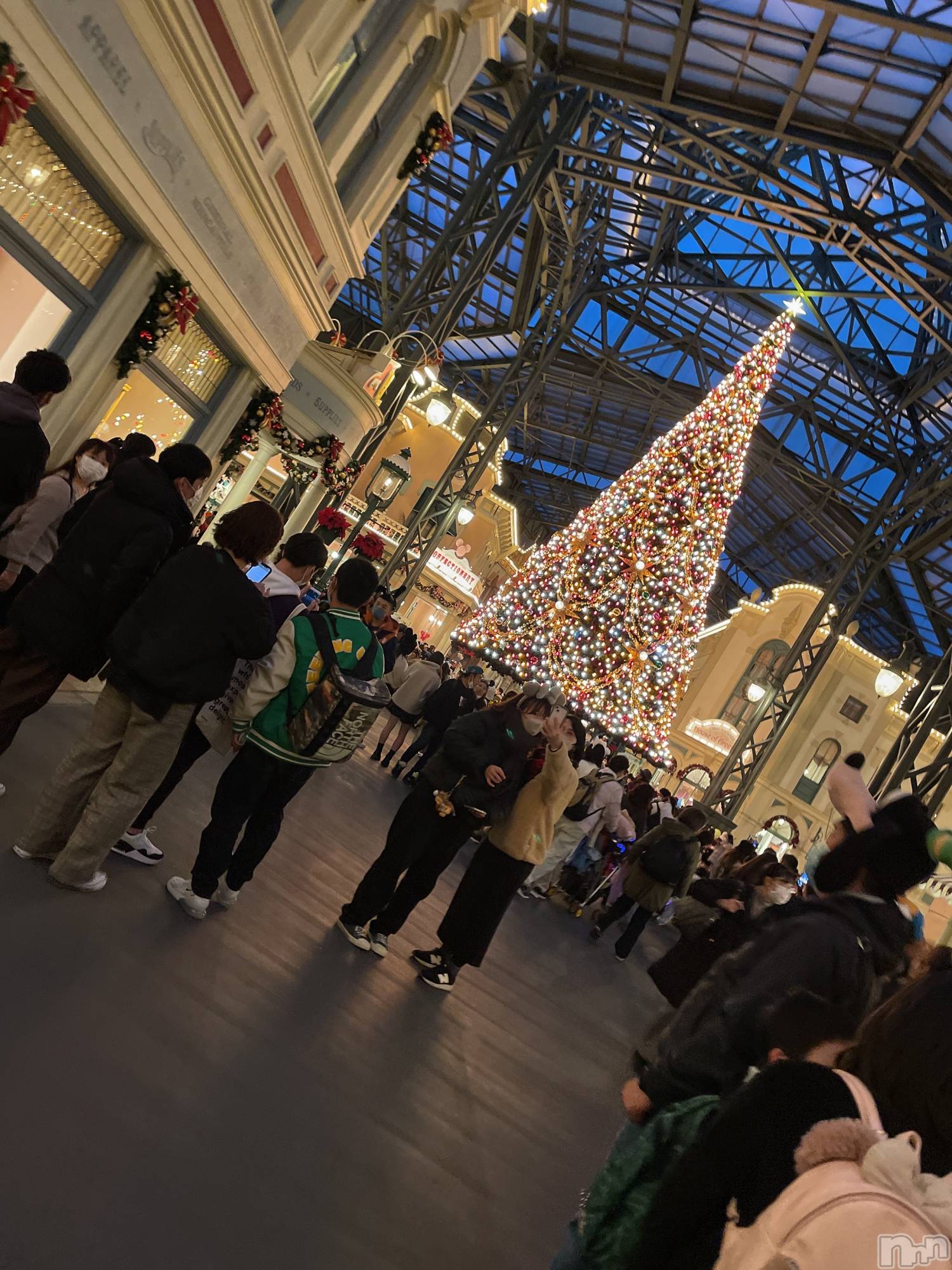 ��ˬ����Х��顦����֥���� �ץ���� ��ˬ(����� �ץ���� ����) ��2024ǯ11��13���̥�֥�����9��