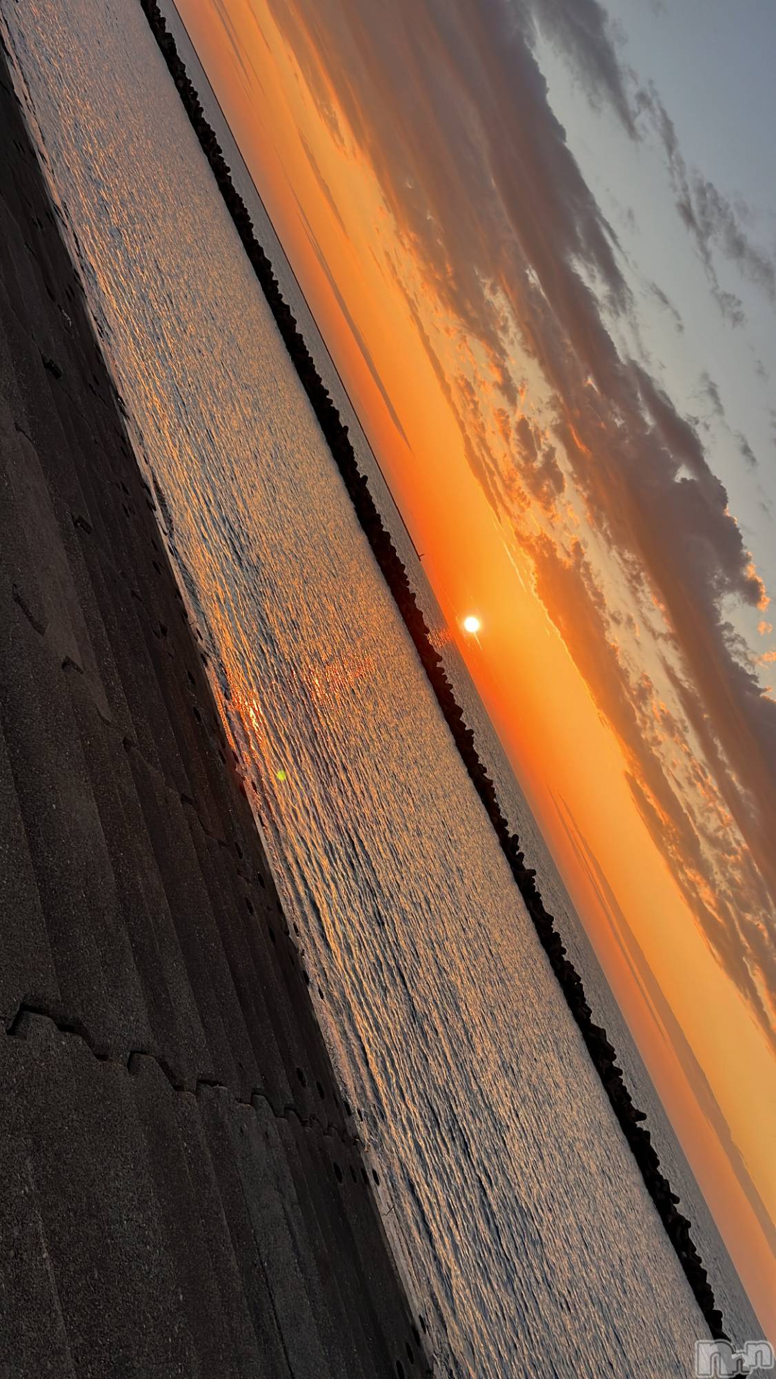 ��ˬ����Х��顦����֥���� �ץ���� ��ˬ(����� �ץ���� ����) ��2024ǯ11��29���̥�֥�����16��