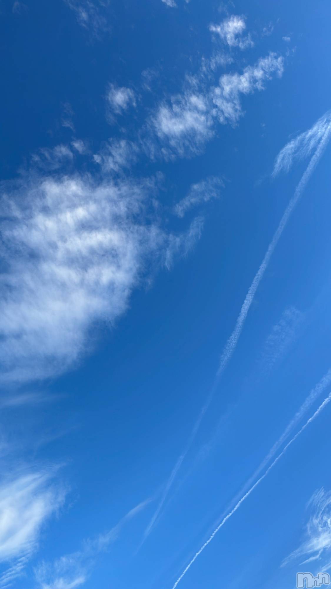 ��ˬ����Х��顦����֥���� �ץ���� ��ˬ(����� �ץ���� ����) ��2025ǯ2��25���̥�֥�����59��