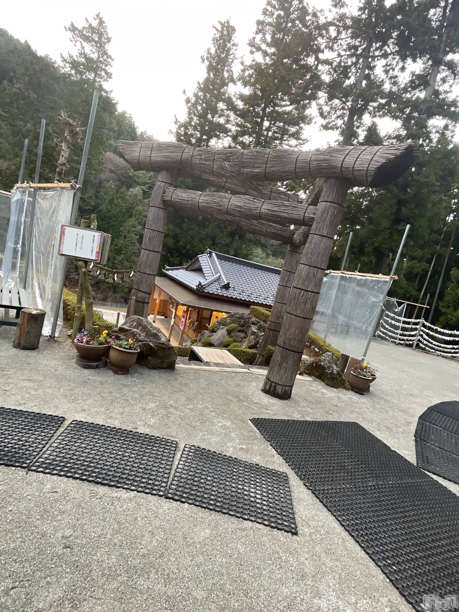 ��ˬ����Х��顦����֥���� �ץ���� ��ˬ(����� �ץ���� ����) ��2025ǯ2��27���̥�֥�����61��