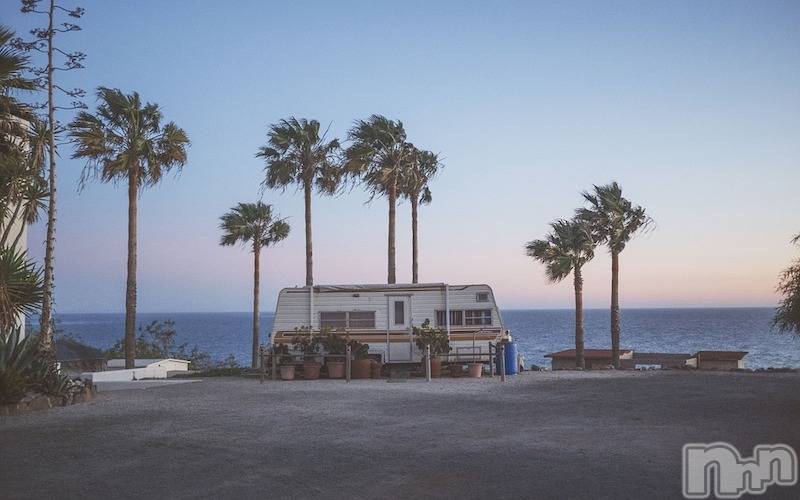 ��ˬ����Х��顦����֥���� �ץ���� ��ˬ(����� �ץ���� ����) ��2025ǯ4��10���̥�֥�����87��