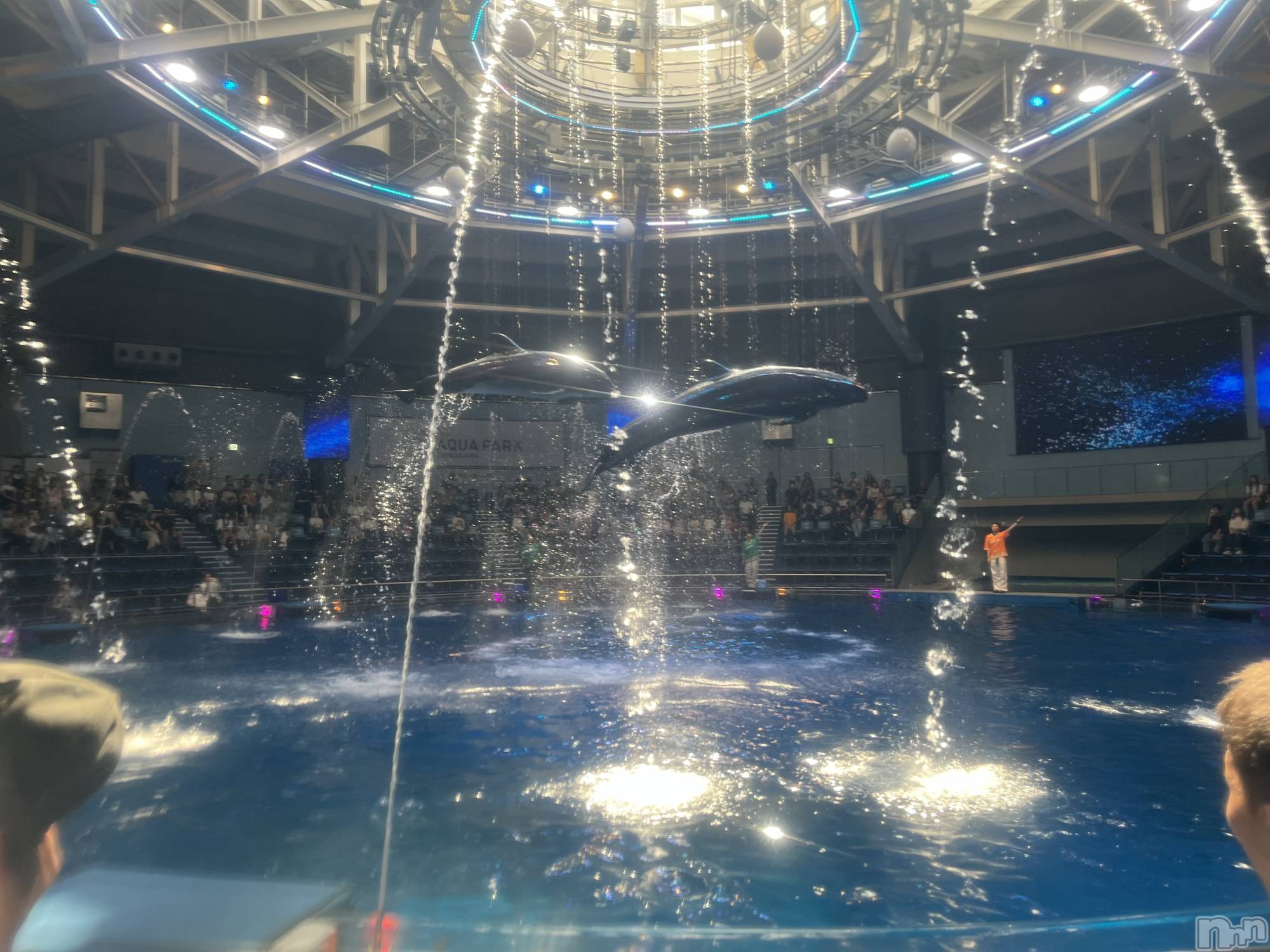 ��ˬ����Х��顦����֥���� �ץ���� ��ˬ(����� �ץ���� ����) ��2025ǯ9��18���̥�֥�����164��