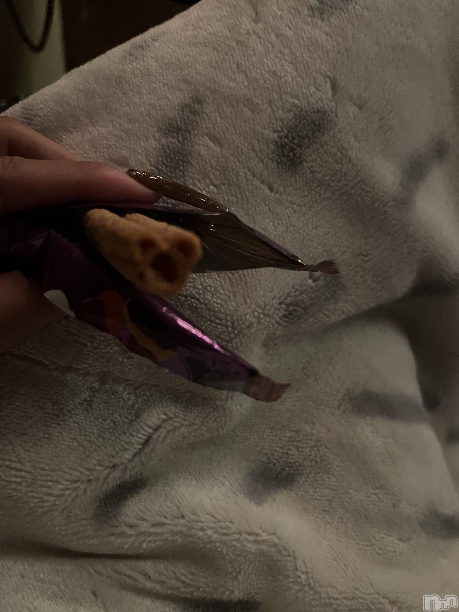 ��ˬ����Х��顦����֥���� �ץ���� ��ˬ(����� �ץ���� ����) ��2025ǯ10��5���̥�֥�����172��