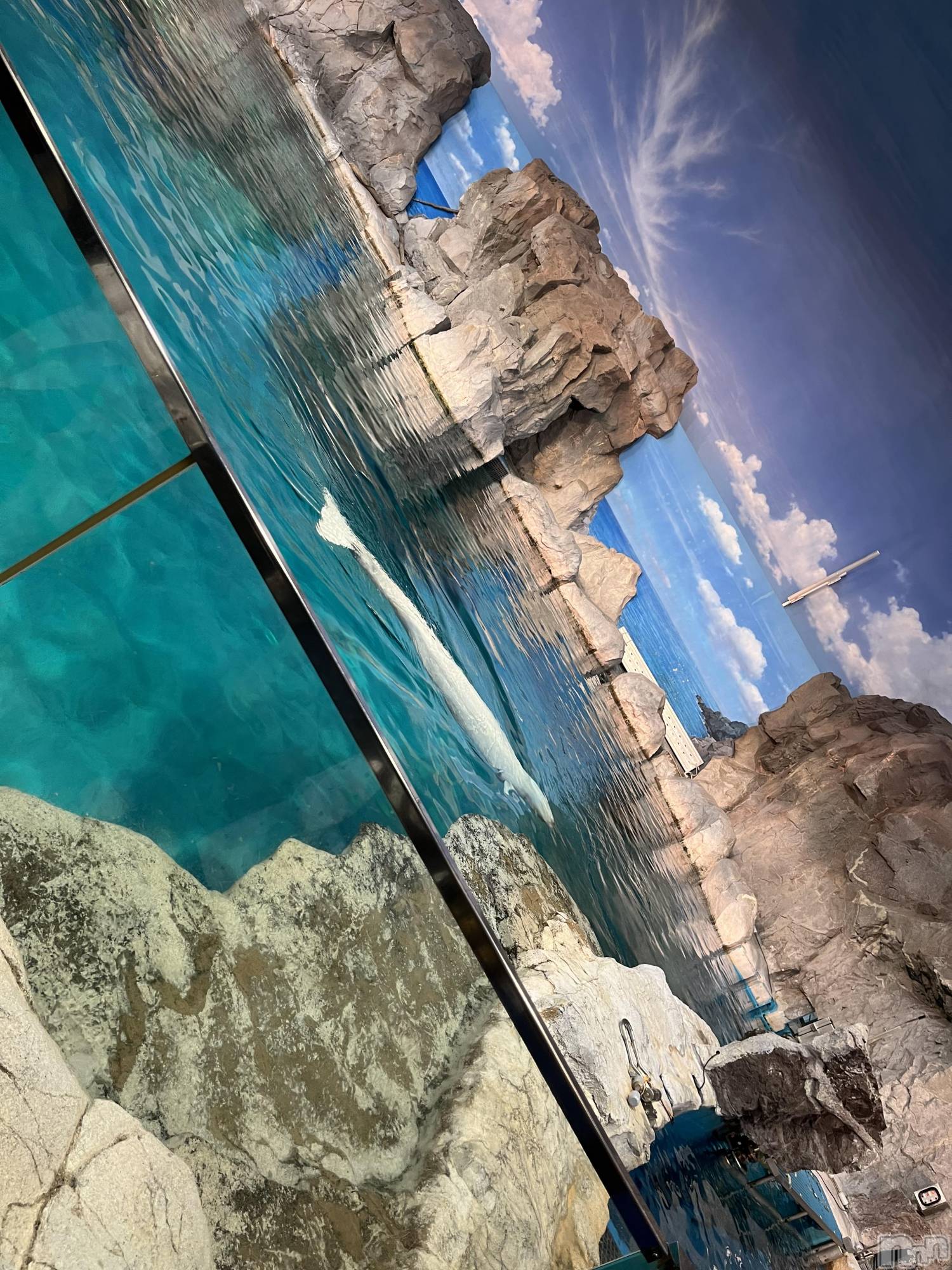 ��ˬ����Х��顦����֥���� �ץ���� ��ˬ(����� �ץ���� ����) ��2025ǯ10��23���̥�֥�����183��