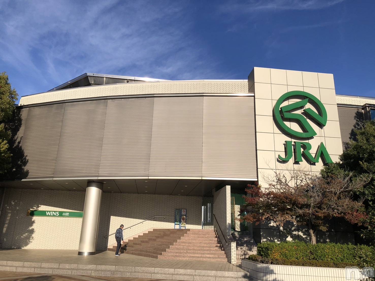 ��ˬ����Х��顦����֥���� �ץ���� ��ˬ(����� �ץ���� ����) ��2026ǯ1��22���̥�֥�����242��