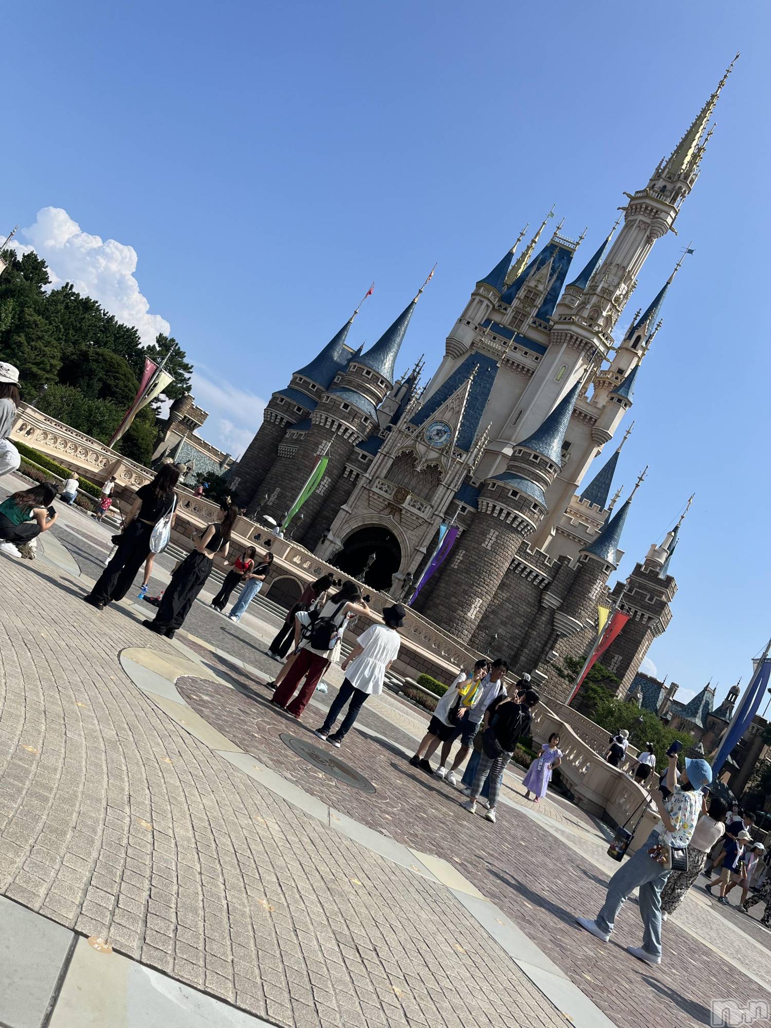 ��ˬ����Х��顦����֥���� �ץ���� ��ˬ(����� �ץ���� ����) ��2026ǯ2��5���̥�֥�����254��