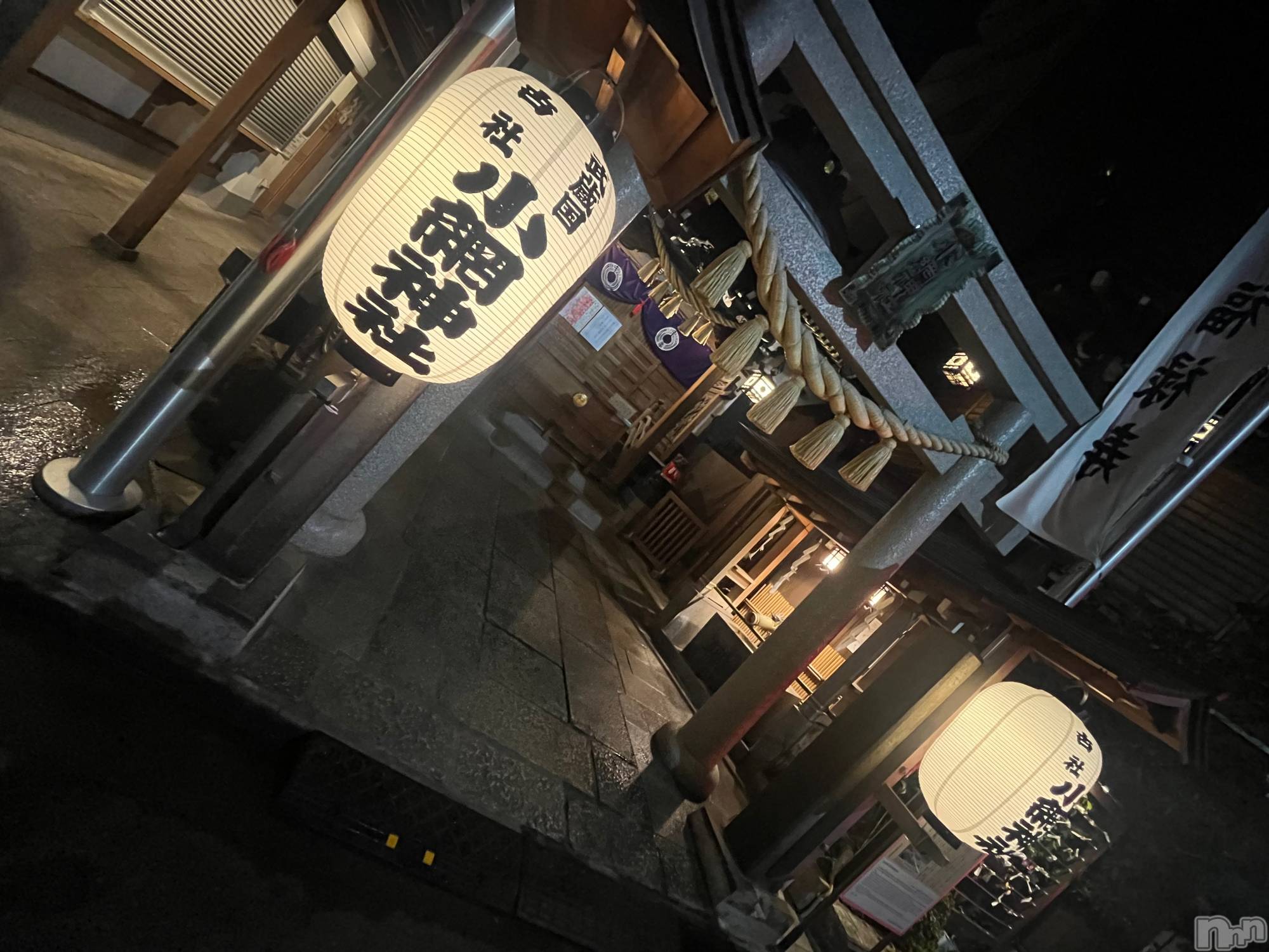 ��ˬ����Х��顦����֥���� �ץ���� ��ˬ(����� �ץ���� ����) ��2026ǯ2��17���̥�֥�����263��