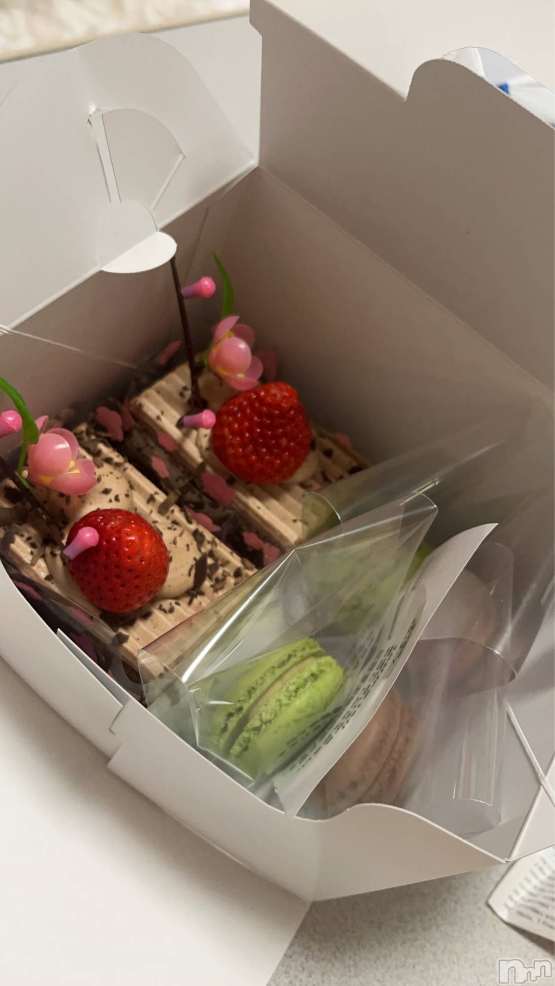 ��ˬ����Х��顦����֥���� �ץ���� ��ˬ(����� �ץ���� ����) ��2026ǯ3��3���̥�֥�����273��