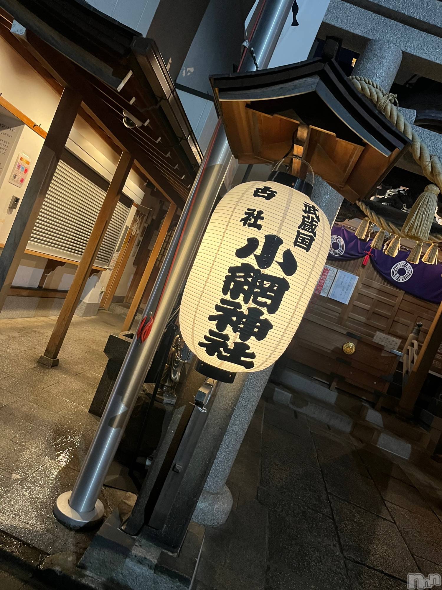 ��ˬ����Х��顦����֥���� �ץ���� ��ˬ(����� �ץ���� ����) ��2026ǯ3��7���̥�֥�����277��