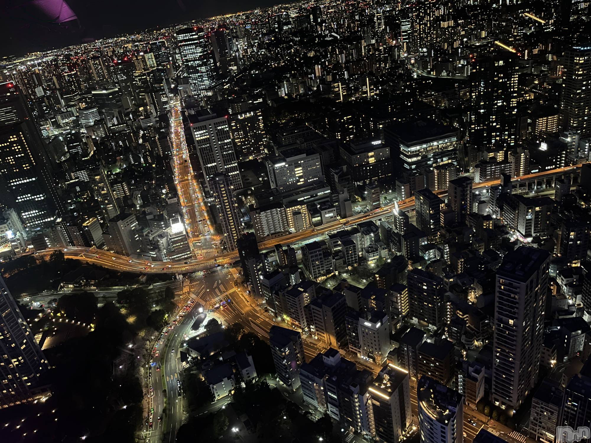 ��ˬ����Х��顦����֥���� �ץ���� ��ˬ(����� �ץ���� ����) ��2026ǯ4��8���̥�֥�����298��