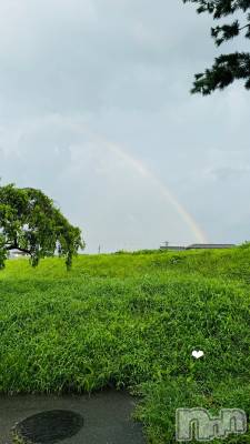 ��ˬ����Х��顦����֥���� �ץ���� ��ˬ(����� �ץ���� ����) ����� �椭��11��7���̥�֥�����5��