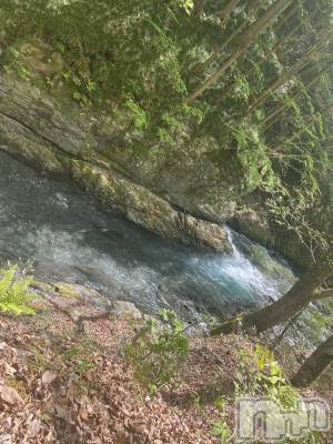 ��ˬ����Х��顦����֥���� �ץ���� ��ˬ(����� �ץ���� ����) ����� �椭��11��8���̥�֥�����6��