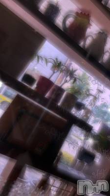 ��ˬ����Х��顦����֥���� �ץ���� ��ˬ(����� �ץ���� ����) ����� �椭��11��18���̥�֥�����10��