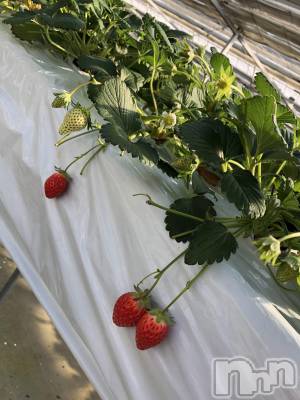 ��ˬ����Х��顦����֥���� �ץ���� ��ˬ(����� �ץ���� ����) ����� �椭��12��3���̥�֥�����19��