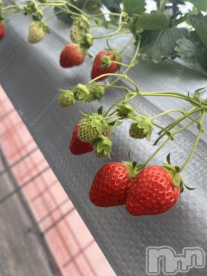 ��ˬ����Х��顦����֥���� �ץ���� ��ˬ(����� �ץ���� ����) ����� �椭��1��15���̥�֥�����31��