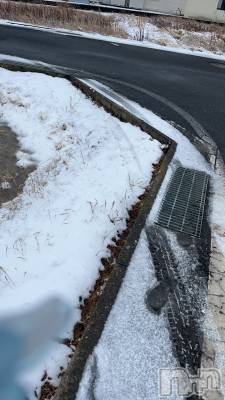 ��ˬ����Х��顦����֥���� �ץ���� ��ˬ(����� �ץ���� ����) ����� �椭��3��4���̥�֥�����64��