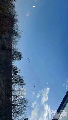 ��ˬ����Х��顦����֥���� �ץ���� ��ˬ(����� �ץ���� ����) ����� �椭��3��25���̥�֥�����79��