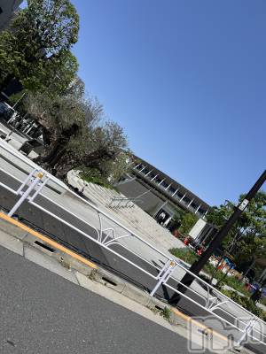 ��ˬ����Х��顦����֥���� �ץ���� ��ˬ(����� �ץ���� ����) ����� �椭��4��25���̥�֥�����92��