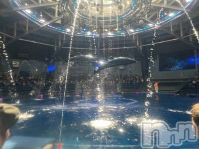 ��ˬ����Х��顦����֥���� �ץ���� ��ˬ(����� �ץ���� ����) ����� �椭��9��18���̥�֥�����164��