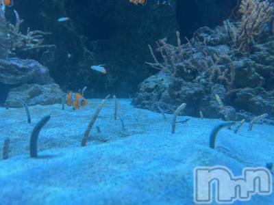 ��ˬ����Х��顦����֥���� �ץ���� ��ˬ(����� �ץ���� ����) ����� �椭��10��15���̥�֥�����178��