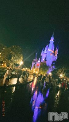 ��ˬ����Х��顦����֥���� �ץ���� ��ˬ(����� �ץ���� ����) ����� �椭��10��17���̥�֥�����180��