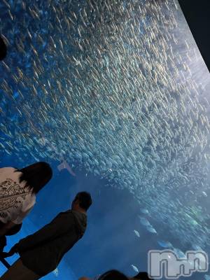 ��ˬ����Х��顦����֥���� �ץ���� ��ˬ(����� �ץ���� ����) ����� �椭��10��20���̥�֥�����181��