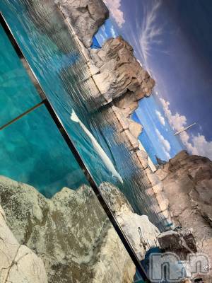 ��ˬ����Х��顦����֥���� �ץ���� ��ˬ(����� �ץ���� ����) ����� �椭��10��23���̥�֥�����183��