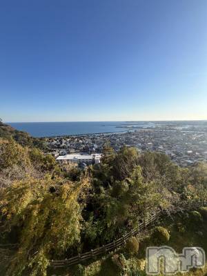 ��ˬ����Х��顦����֥���� �ץ���� ��ˬ(����� �ץ���� ����) ����� �椭��12��11���̥�֥�����217��