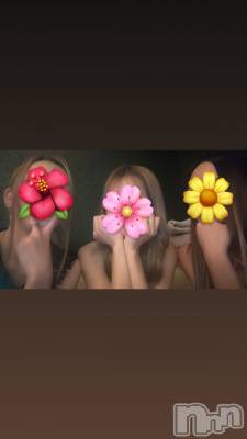 ��ˬ����Х��顦����֥���� �ץ���� ��ˬ(����� �ץ���� ����) ����� �椭��12��30���̥�֥�����230��