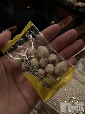 ��ˬ����Х��顦����֥���� �ץ���� ��ˬ(����� �ץ���� ����) ����� �椭��1��17���̥�֥�����238��