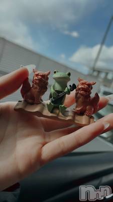 ��ˬ����Х��顦����֥���� �ץ���� ��ˬ(����� �ץ���� ����) ����� �椭��1��29���̥�֥�����248��