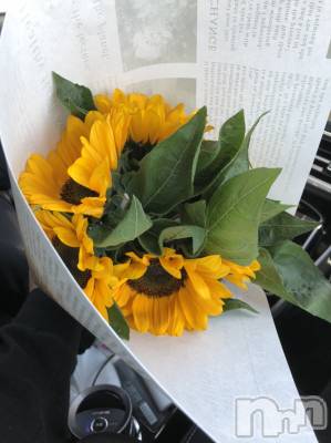 ��ˬ����Х��顦����֥���� �ץ���� ��ˬ(����� �ץ���� ����) ����� �椭��1��31���̥�֥�����250��