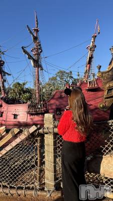 ��ˬ����Х��顦����֥���� �ץ���� ��ˬ(����� �ץ���� ����) ����� �椭��2��6���̥�֥�����255��