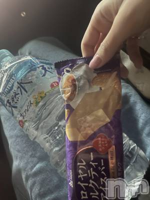 ��ˬ����Х��顦����֥���� �ץ���� ��ˬ(����� �ץ���� ����) ����� �椭��2��11���̥�֥�����259��