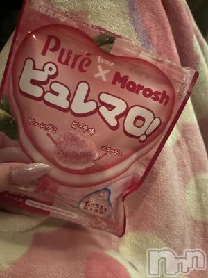 ��ˬ����Х��顦����֥���� �ץ���� ��ˬ(����� �ץ���� ����) ����� �椭��3��6���̥�֥�����275��