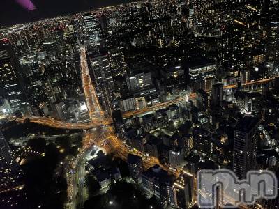 ��ˬ����Х��顦����֥���� �ץ���� ��ˬ(����� �ץ���� ����) ����� �椭��4��8���̥�֥�����298��