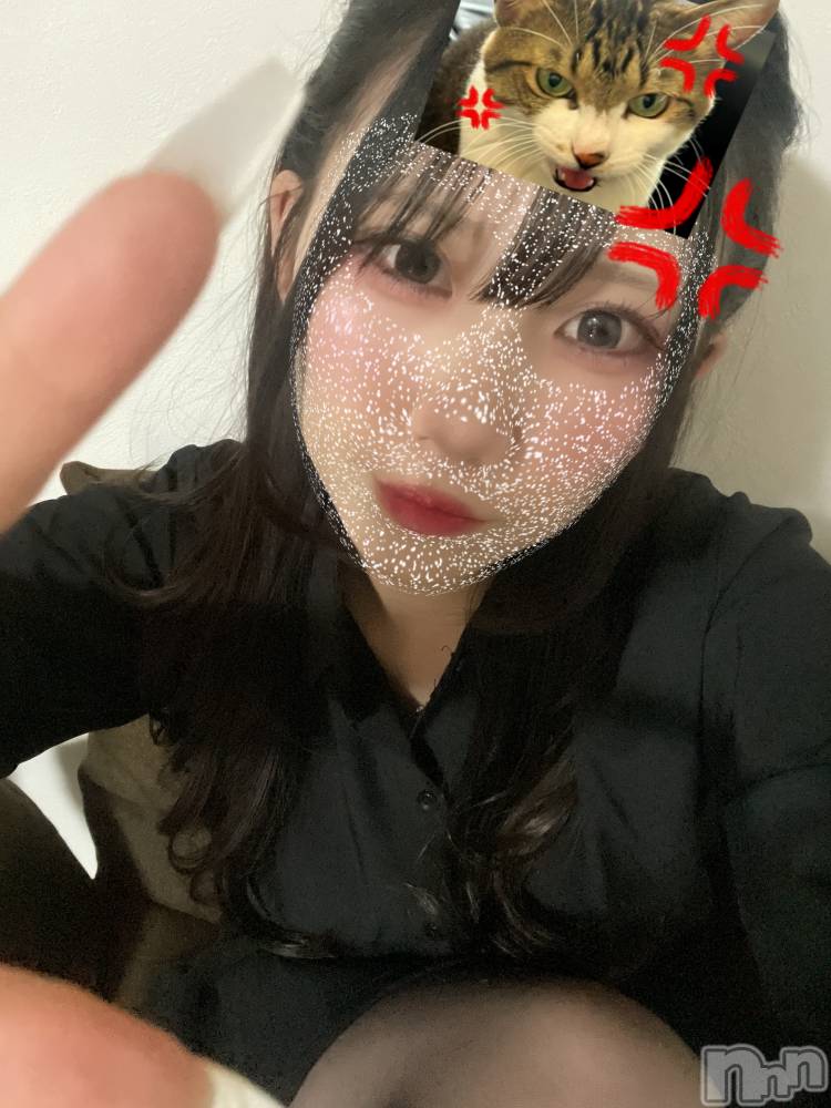 Ĺ襳ѥ˥󥯥Ĺѥ˥󥯥PRISE-ץ饤(ץ饤) 219̥֥֤Ĥޤ졼‼️