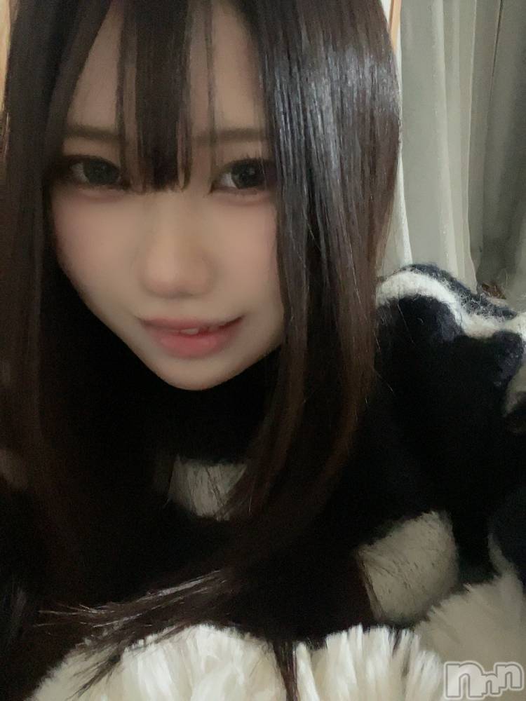 Ĺ襳ѥ˥󥯥Ĺѥ˥󥯥PRISE-ץ饤(ץ饤) 223̥֥֤ˤä