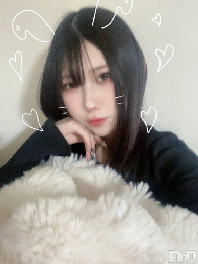 Ĺ襳ѥ˥󥯥Ĺѥ˥󥯥PRISE-ץ饤(ץ饤) 915̥֥֤ԡ