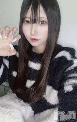 Ĺ襳ѥ˥󥯥Ĺѥ˥󥯥PRISE-ץ饤(ץ饤) (24)225̥֥Ϥ줫