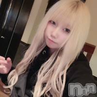 Ĺ襳ѥ˥󥯥 Ĺѥ˥󥯥PRISE-ץ饤(ץ饤) β(2)