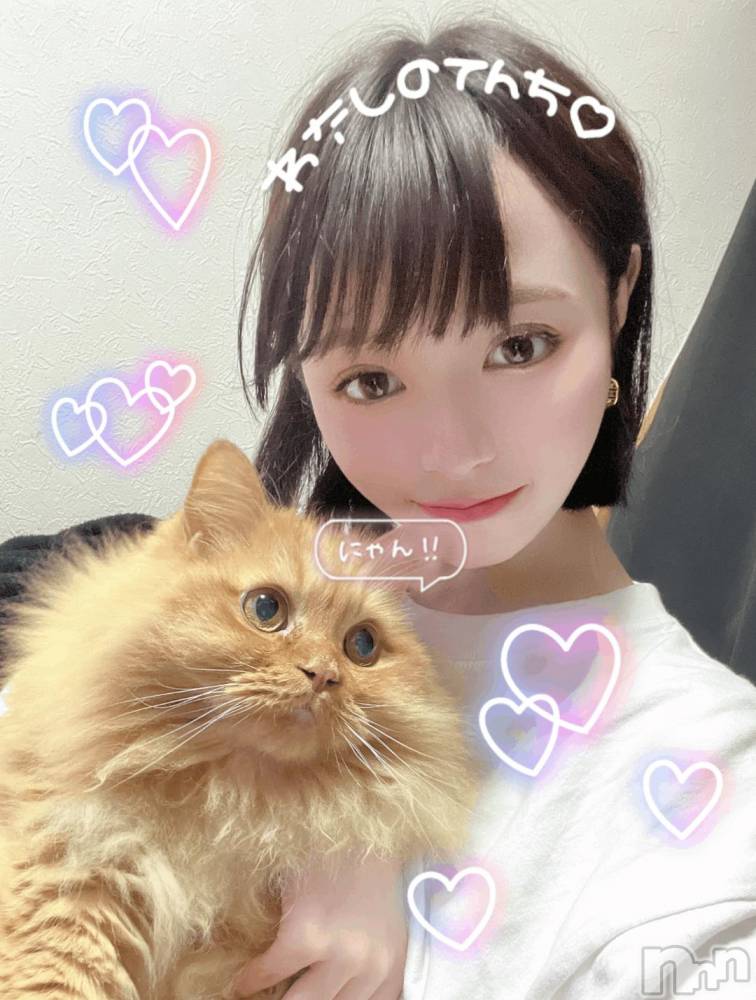 長岡デリヘルROOKIE(ルーキー) さくら☆プラチナ(19)の11月7日写メブログ「猫系嬢が猫持ってみた」