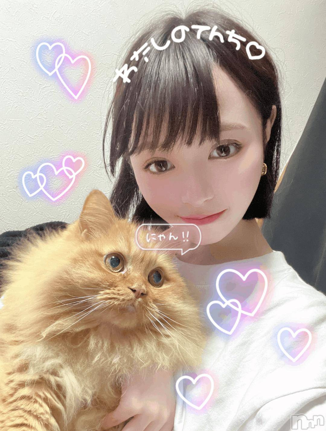長岡デリヘルROOKIE(ルーキー)さくら☆プラチナ(19)の2024年11月7日写メブログ「猫系嬢が猫持ってみた」