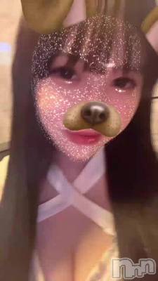 鸫
