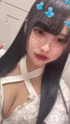 ŤƤ줿
