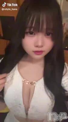 131 1619ʬư