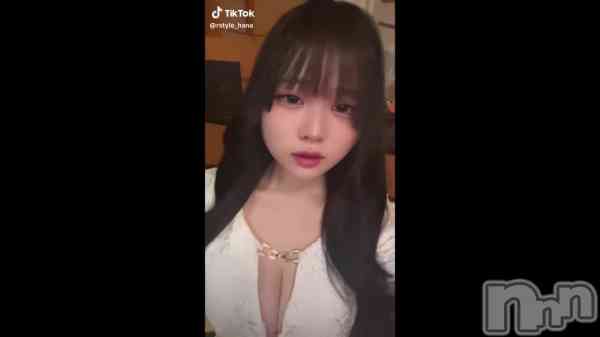 131 1619ʬư
